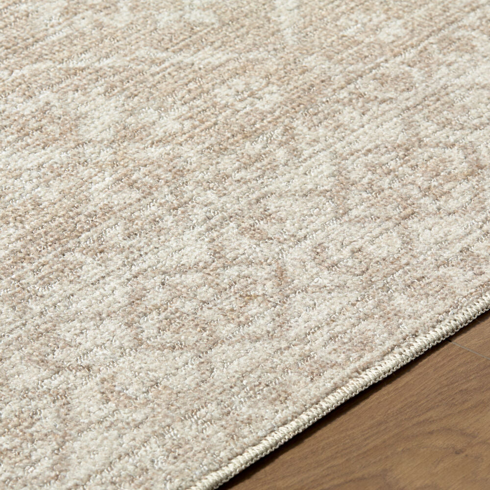 Aram Ivory/Tan Machine Woven Rug - texture
