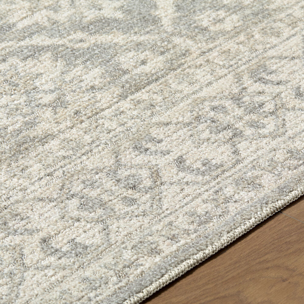 Aram Beige/Light Olive Machine Woven Rug - texture