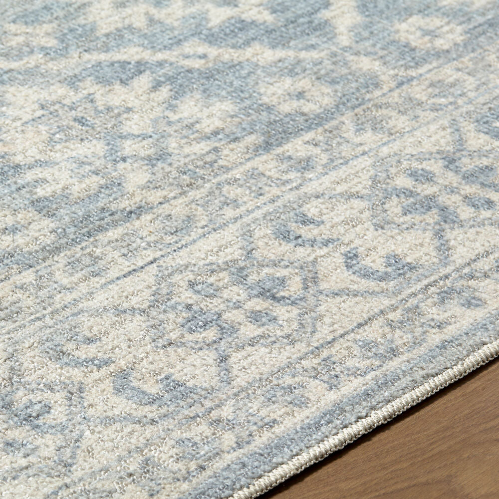 Aram Beige/Pale Blue Machine Woven Rug NBAR-2305 - texture