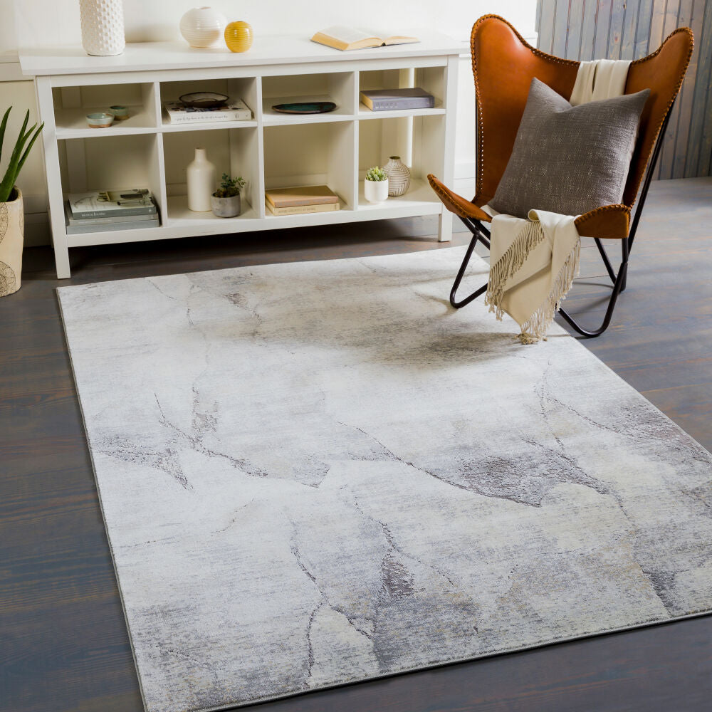 Norland Beige/Tan Machine Woven Rug NLD-2310 - roomscene