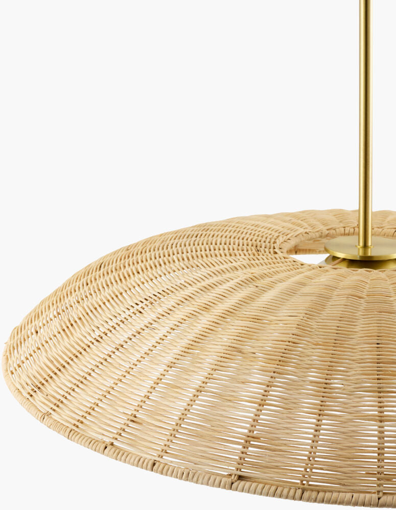 Naseby Pendant - texture