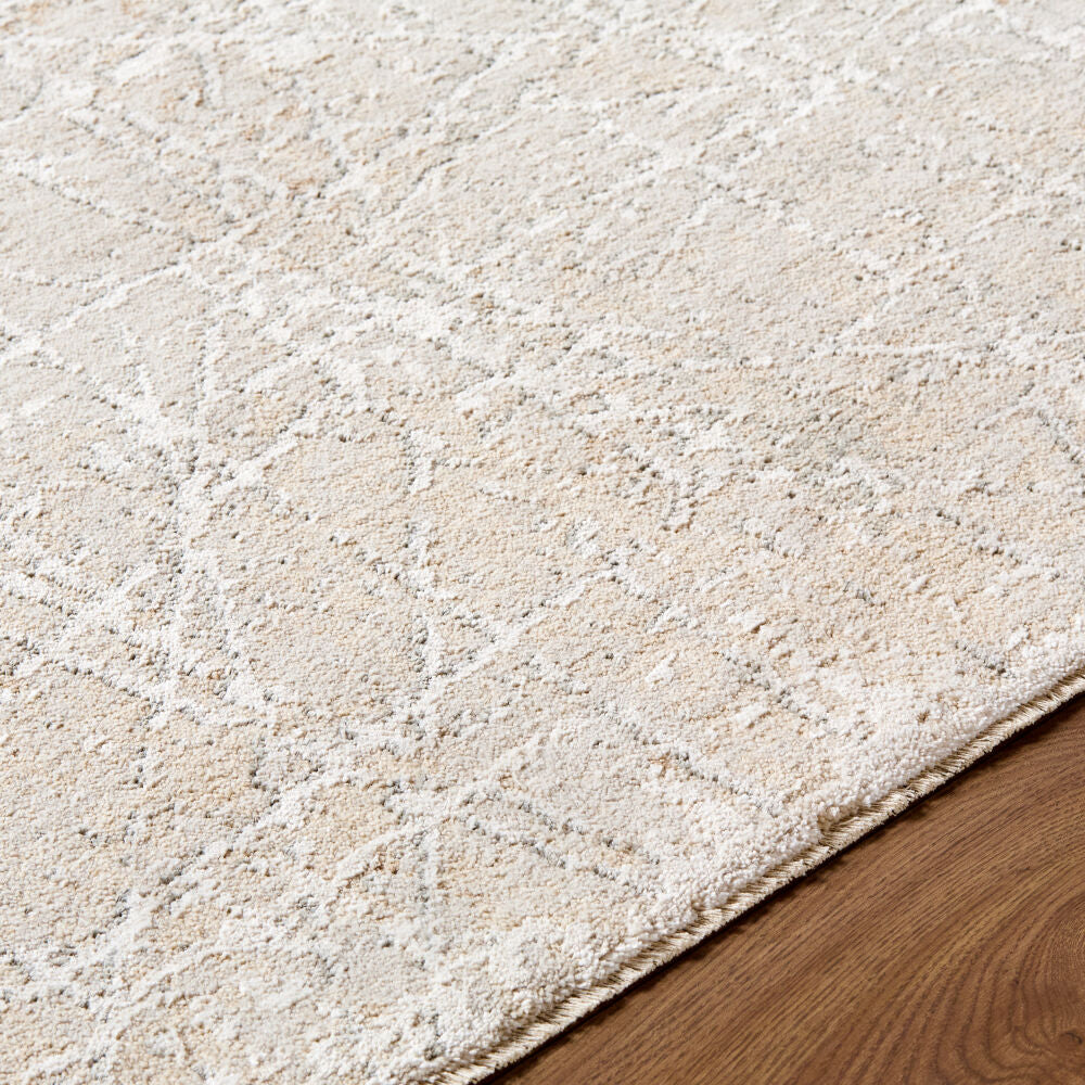 Nathan Cream/Slate Machine Woven Rug NTH-2300 - texture