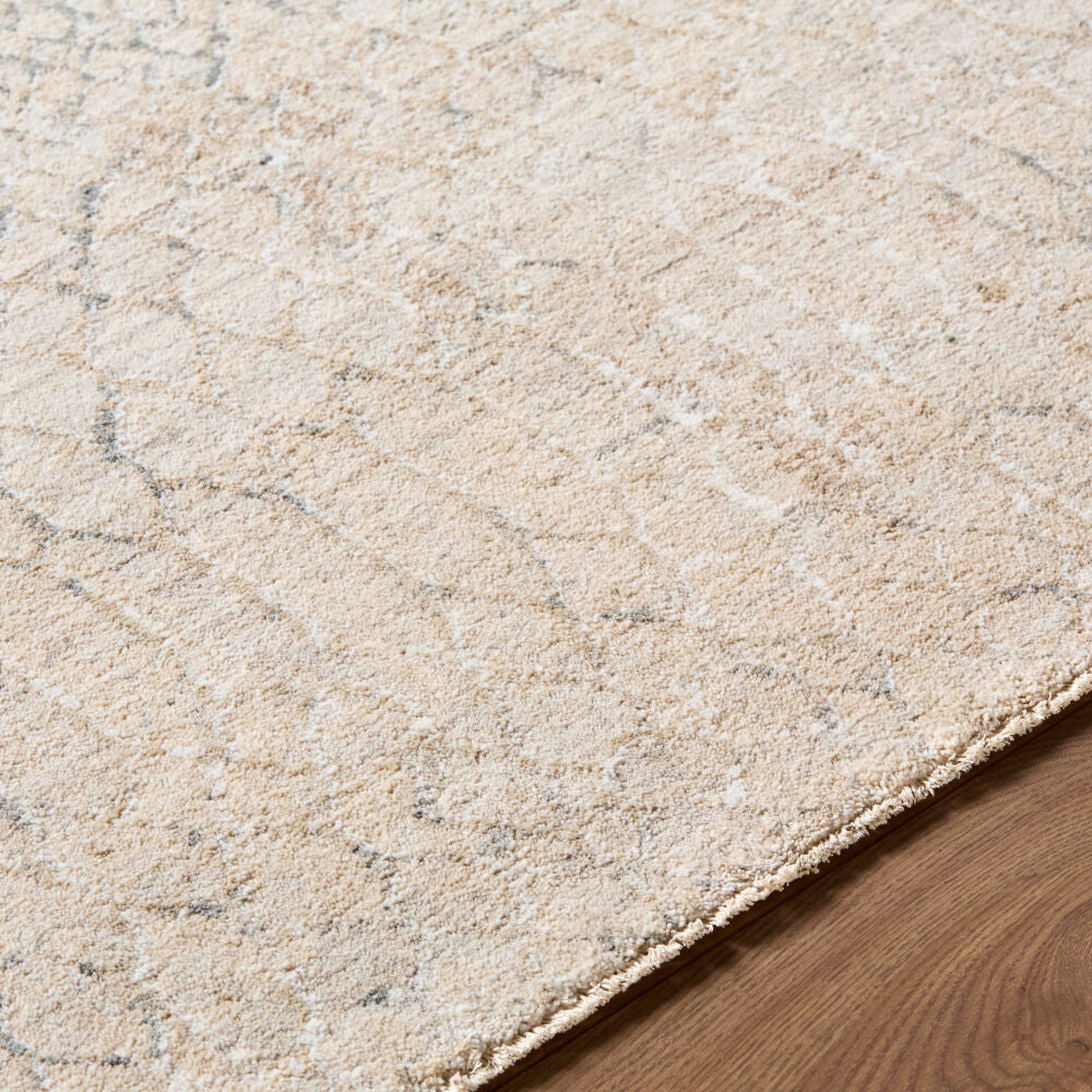 Nathan Cream/Slate Machine Woven Rug NTH-2301 - texture