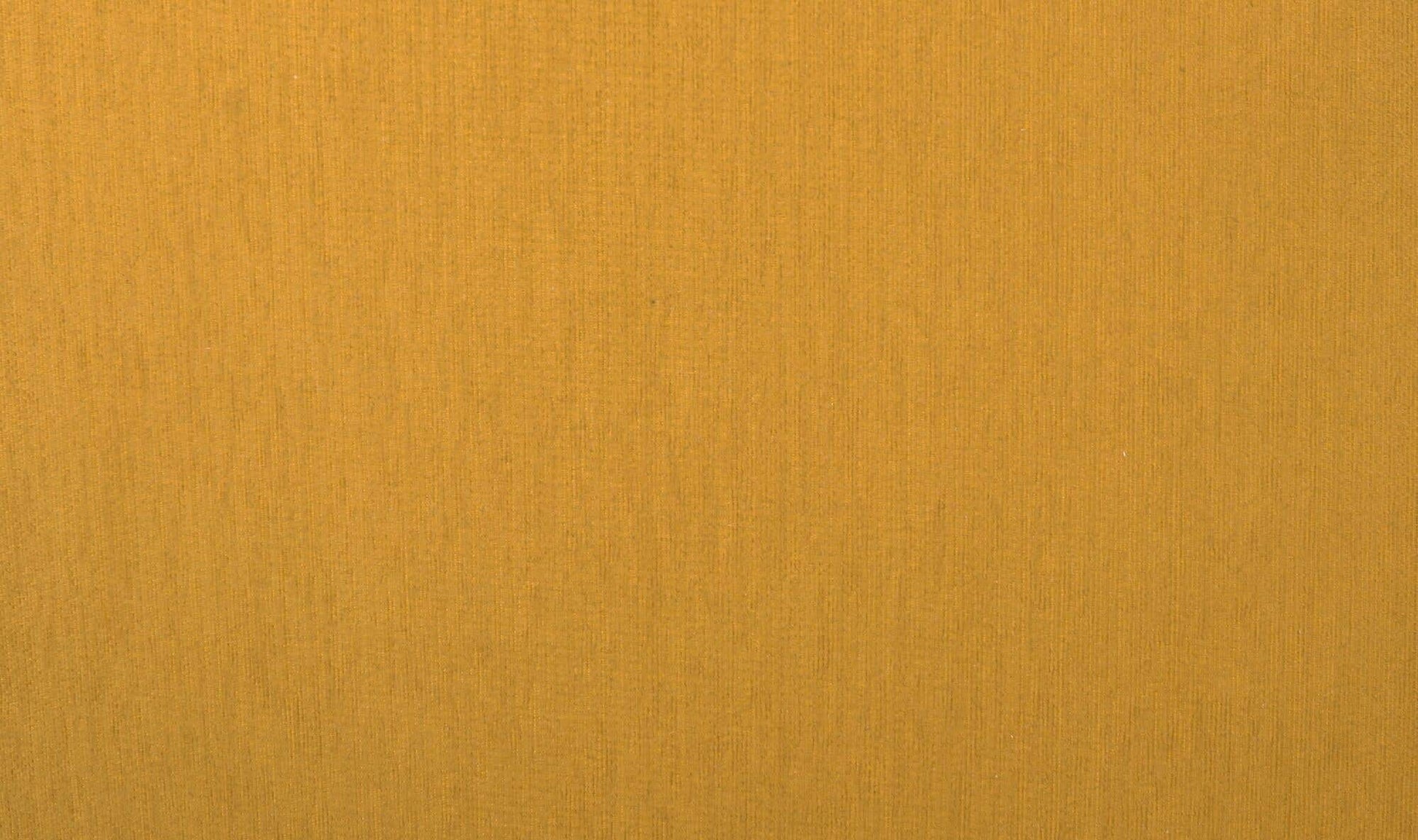 Rae Outdoor Accent Chair Deep Yellow by Moe's Home Collection - view 12