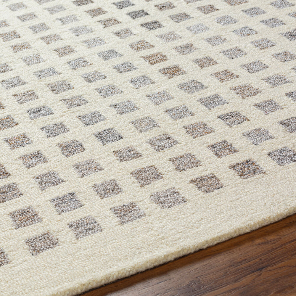 Ottawa Beige/Light Gray Handmade Rug - texture
