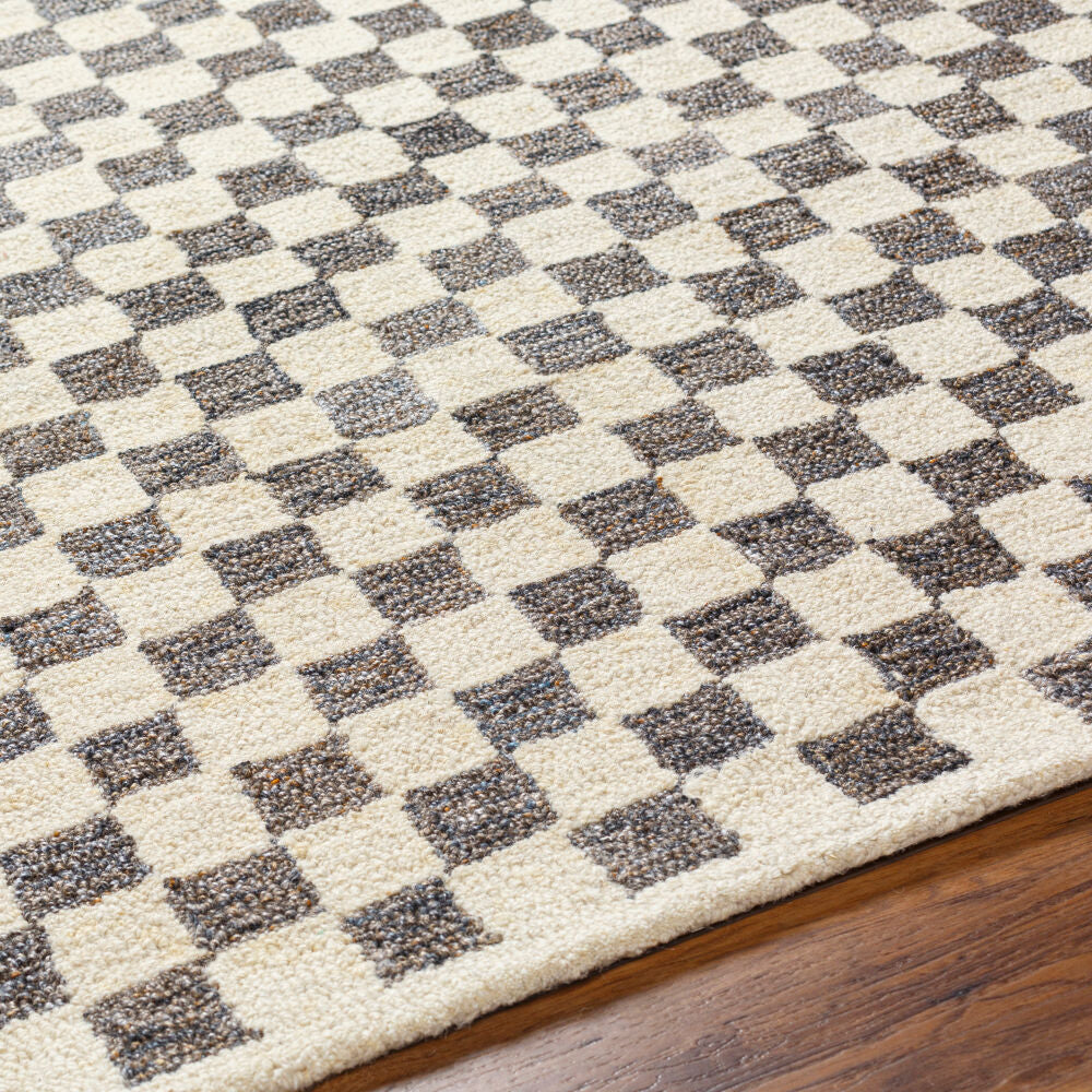 Ottawa Beige/Medium Gray Handmade Rug - texture