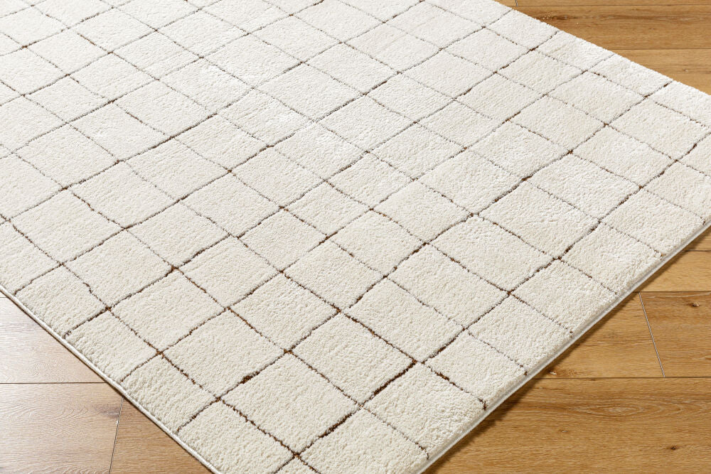 Cascade Brown/Ivory Machine Woven Rug PNWCS-2300 - corner