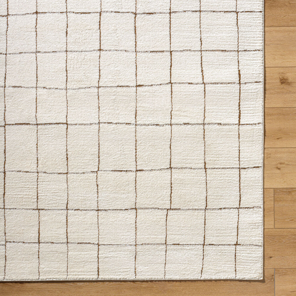 Cascade Brown/Ivory Machine Woven Rug PNWCS-2300 - overhead