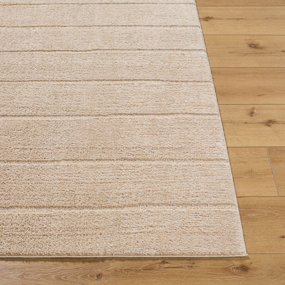 Cascade Light Beige/Light Brown Machine Woven Rug PNWCS-2302 - front