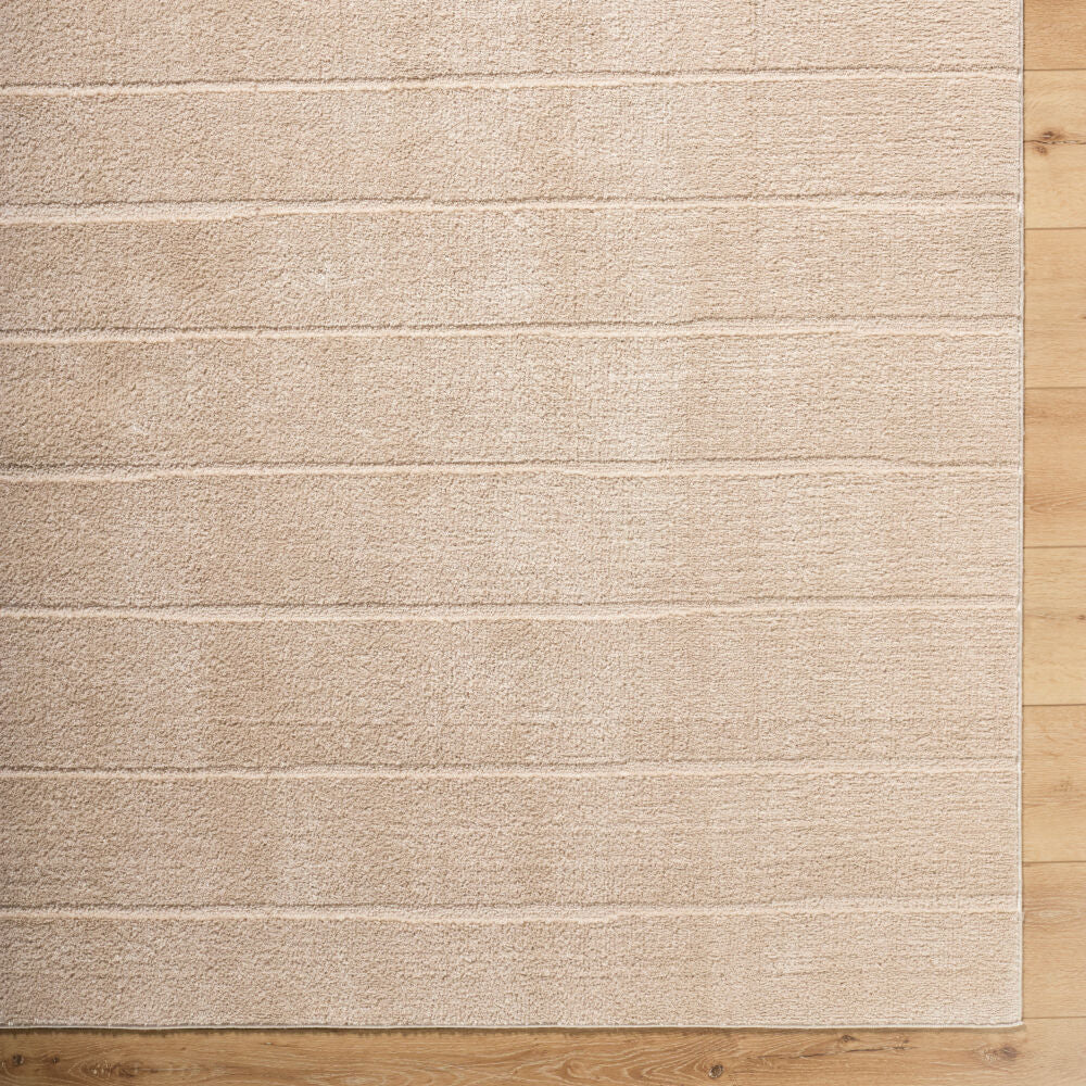 Cascade Light Beige/Light Brown Machine Woven Rug PNWCS-2302 - overhead