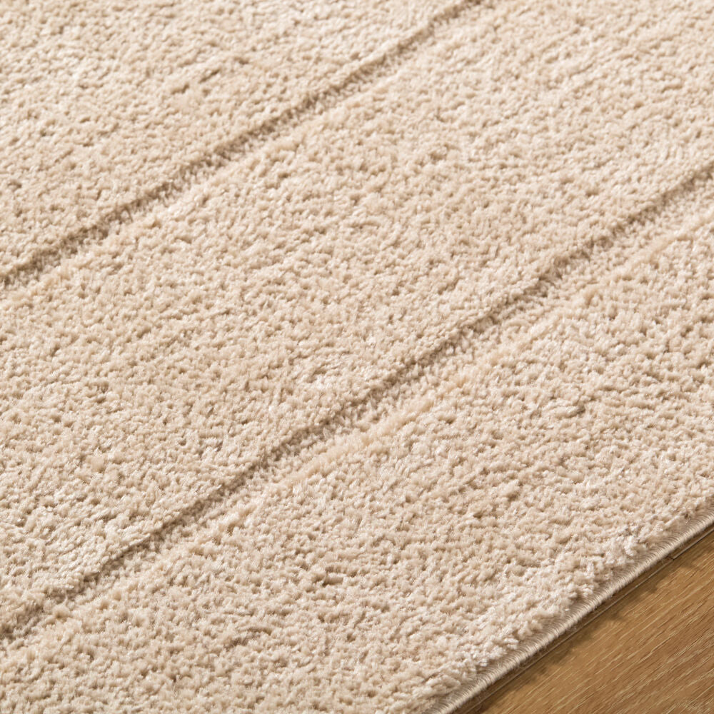 Cascade Light Beige/Light Brown Machine Woven Rug PNWCS-2302 - texture