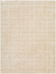 Cascade Light Beige/Light Brown Machine Woven Rug PNWCS-2304 - 2'7" x 10'
