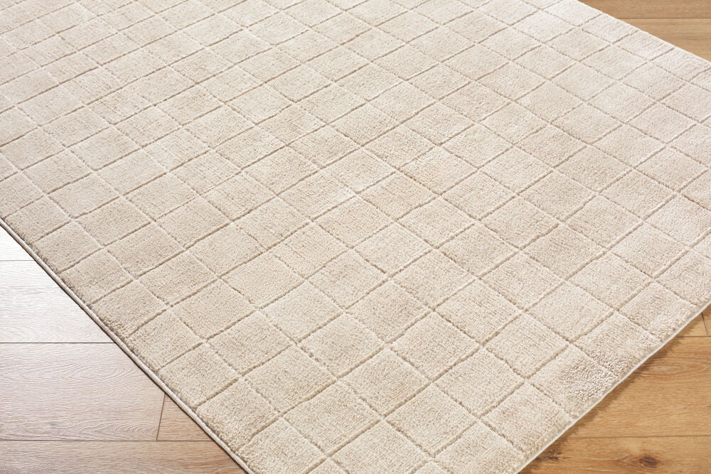 Cascade Light Beige/Light Brown Machine Woven Rug PNWCS-2304 - corner