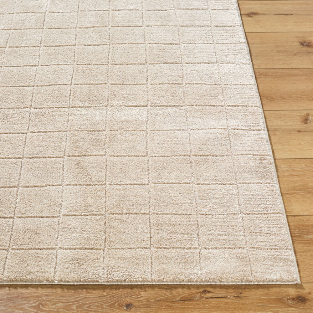 Cascade Light Beige/Light Brown Machine Woven Rug PNWCS-2304 - front