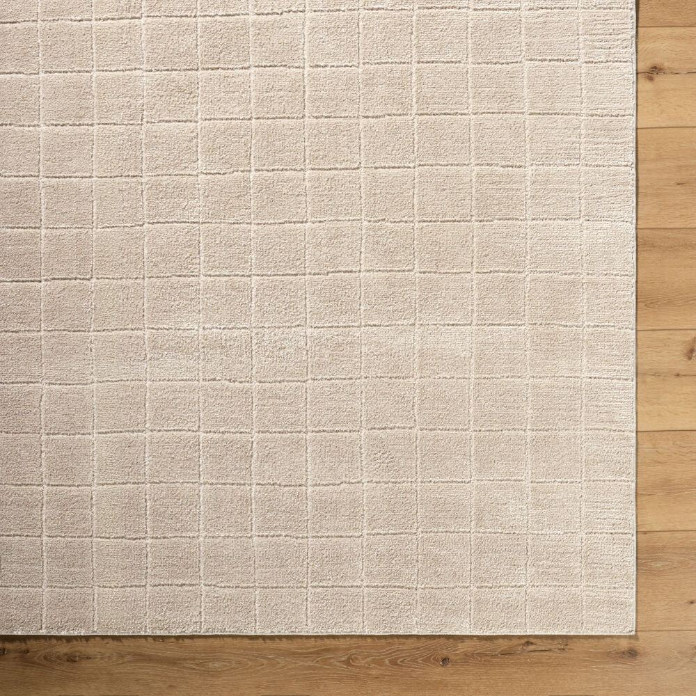 Cascade Light Beige/Light Brown Machine Woven Rug PNWCS-2304 - overhead