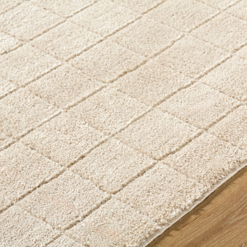 Cascade Light Beige/Light Brown Machine Woven Rug PNWCS-2304 - texture