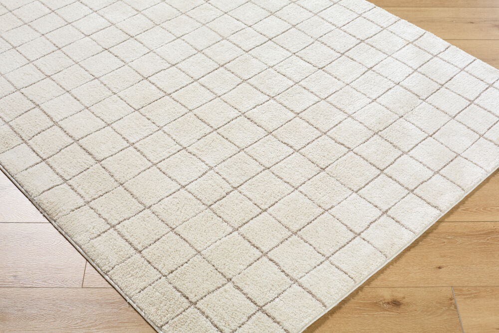 Cascade Ivory/Taupe Machine Woven Rug PNWCS-2305 - corner