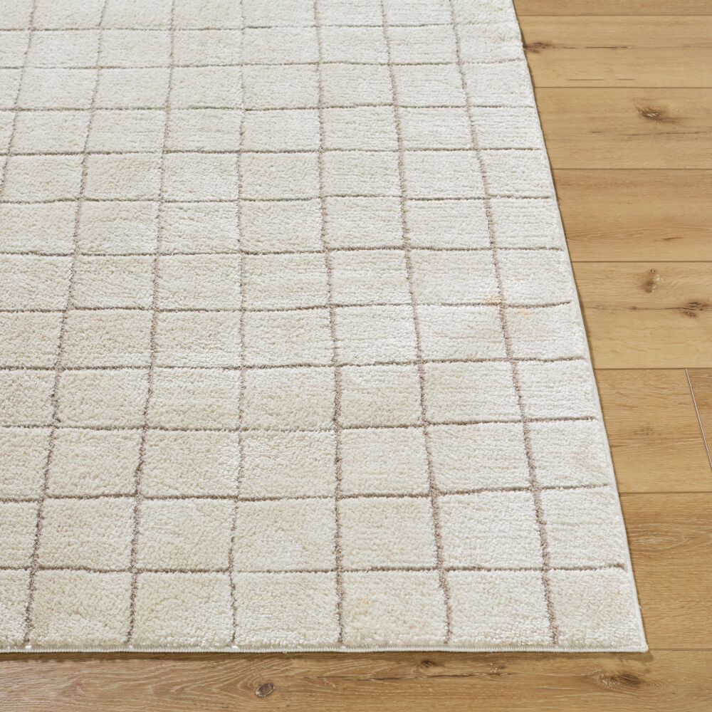 Cascade Ivory/Taupe Machine Woven Rug PNWCS-2305 - front