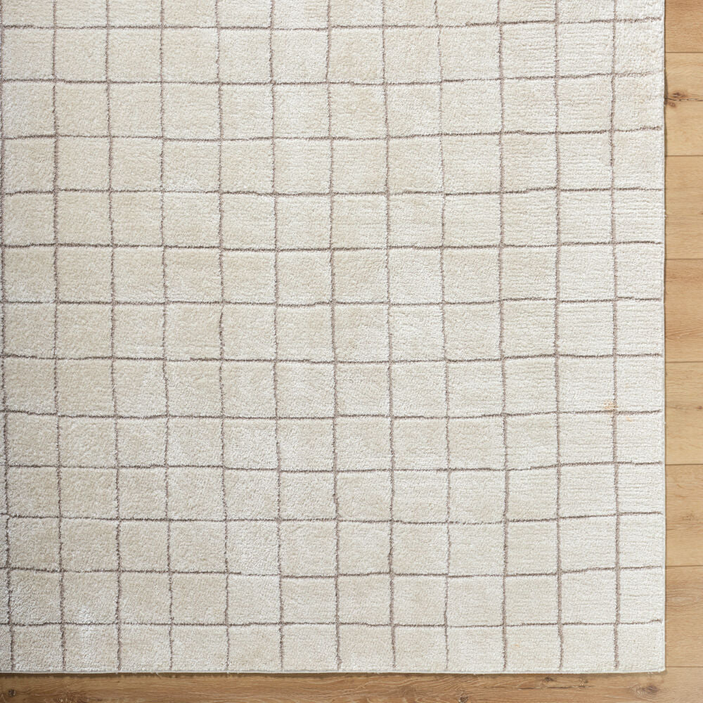 Cascade Ivory/Taupe Machine Woven Rug PNWCS-2305 - overhead