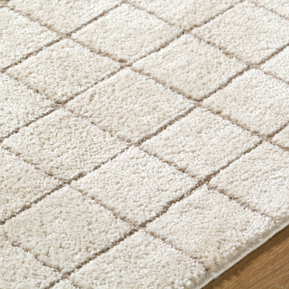 Cascade Ivory/Taupe Machine Woven Rug PNWCS-2305 - texture