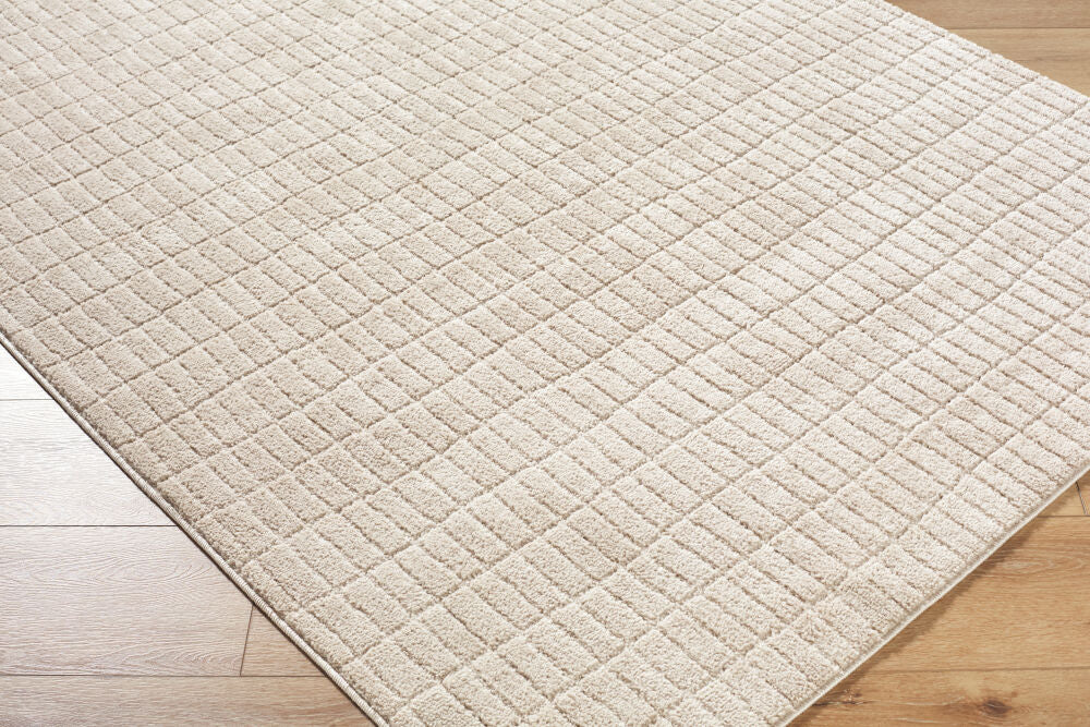 Cascade Light Beige/Light Brown Machine Woven Rug PNWCS-2306 - corner