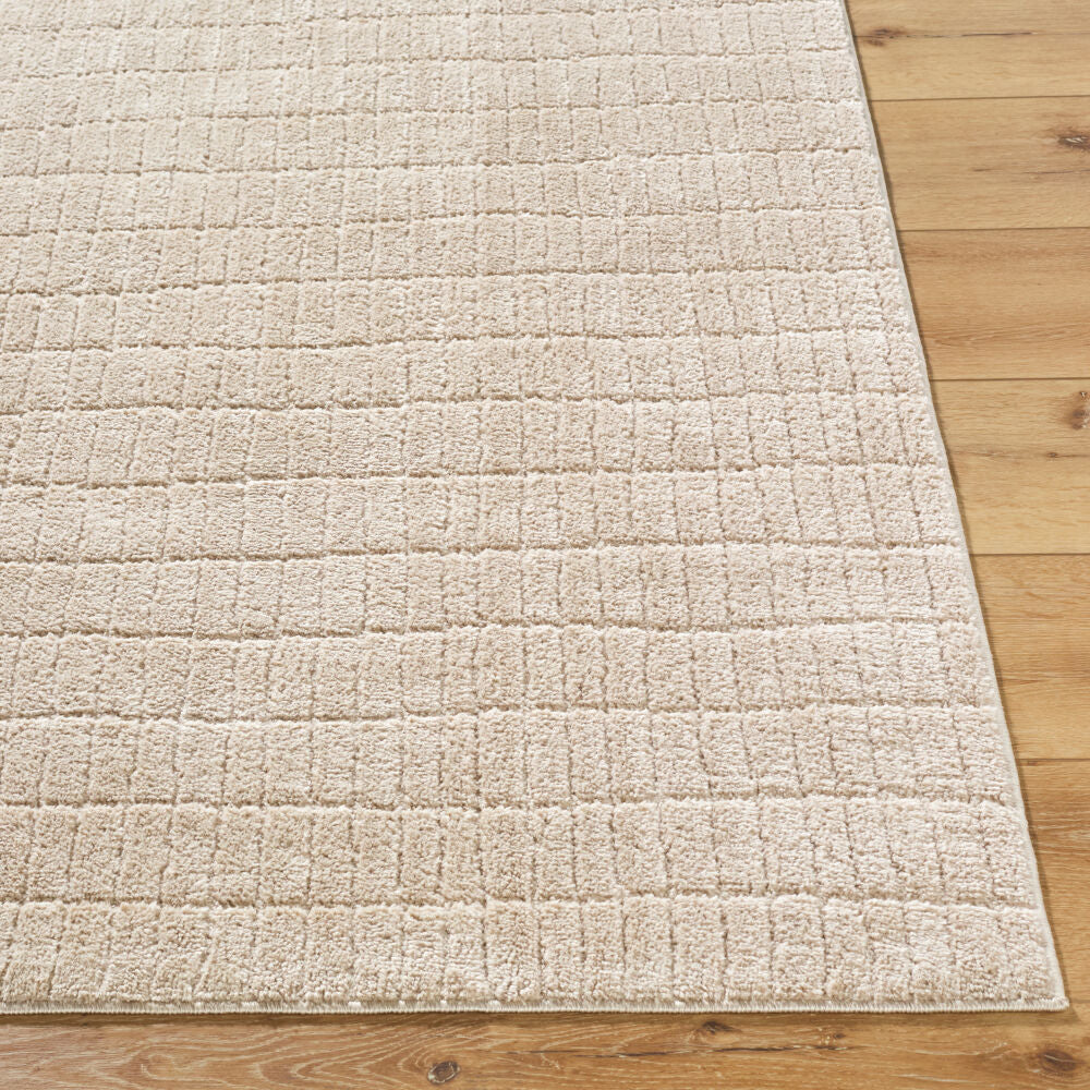 Cascade Light Beige/Light Brown Machine Woven Rug PNWCS-2306 - front