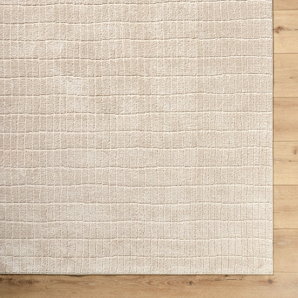 Cascade Light Beige/Light Brown Machine Woven Rug PNWCS-2306 - overhead