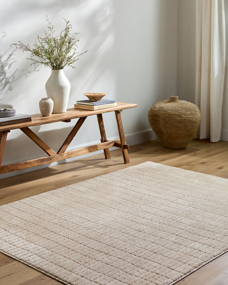 Cascade Light Beige/Light Brown Machine Woven Rug PNWCS-2306 - roomscene