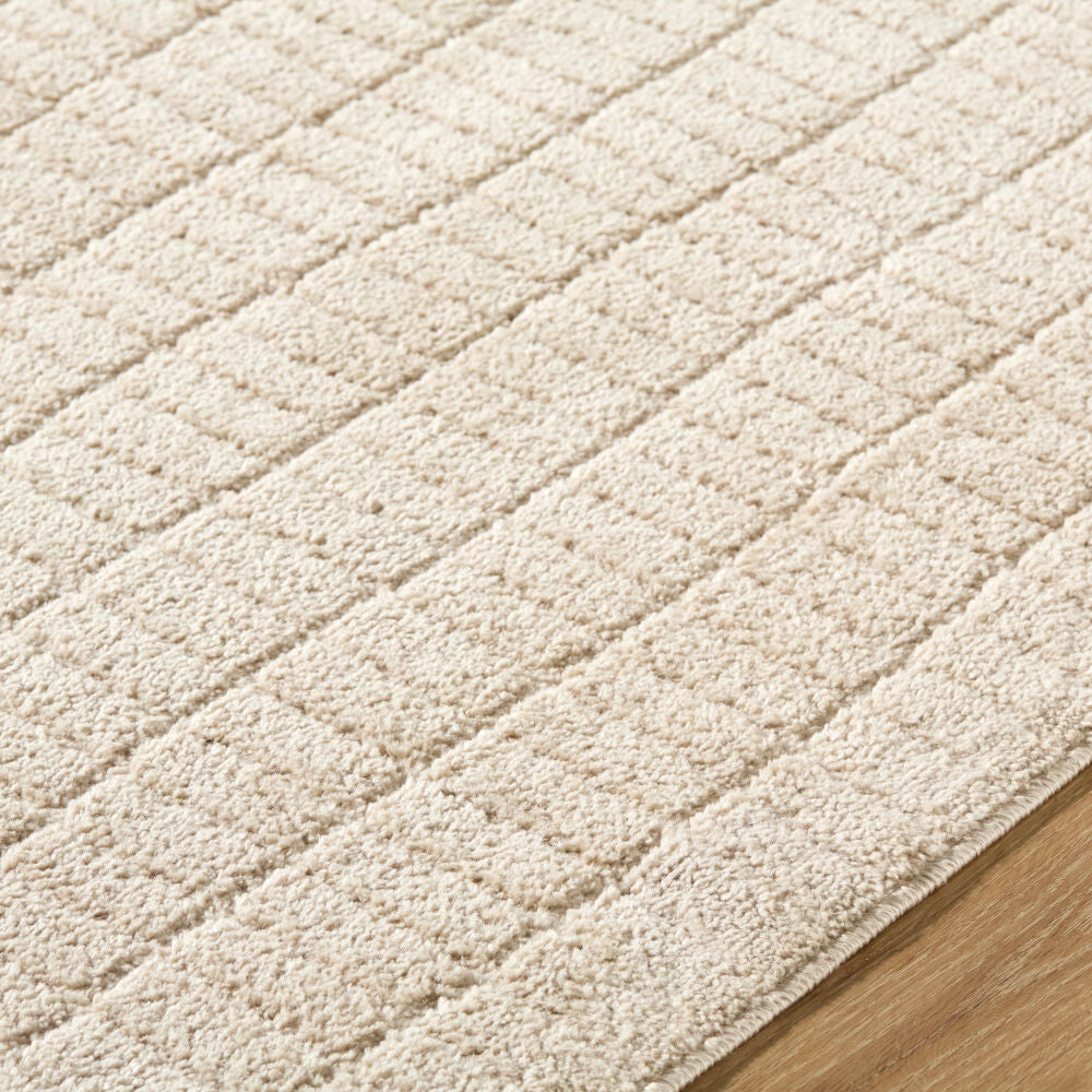 Cascade Light Beige/Light Brown Machine Woven Rug PNWCS-2306 - texture