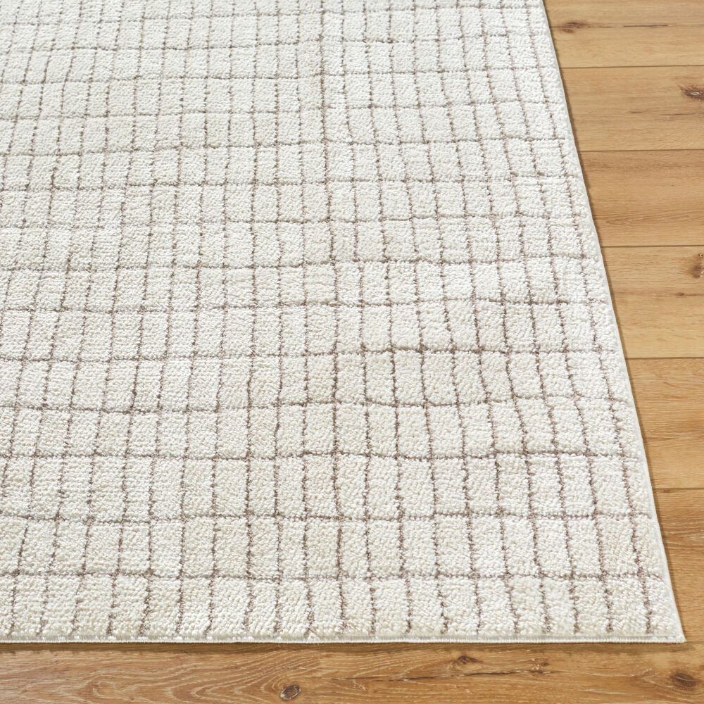 Cascade Ivory/Taupe Machine Woven Rug PNWCS-2307 - front