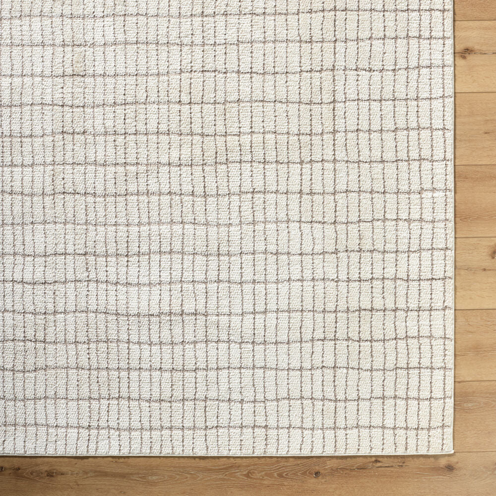 Cascade Ivory/Taupe Machine Woven Rug PNWCS-2307 - overhead