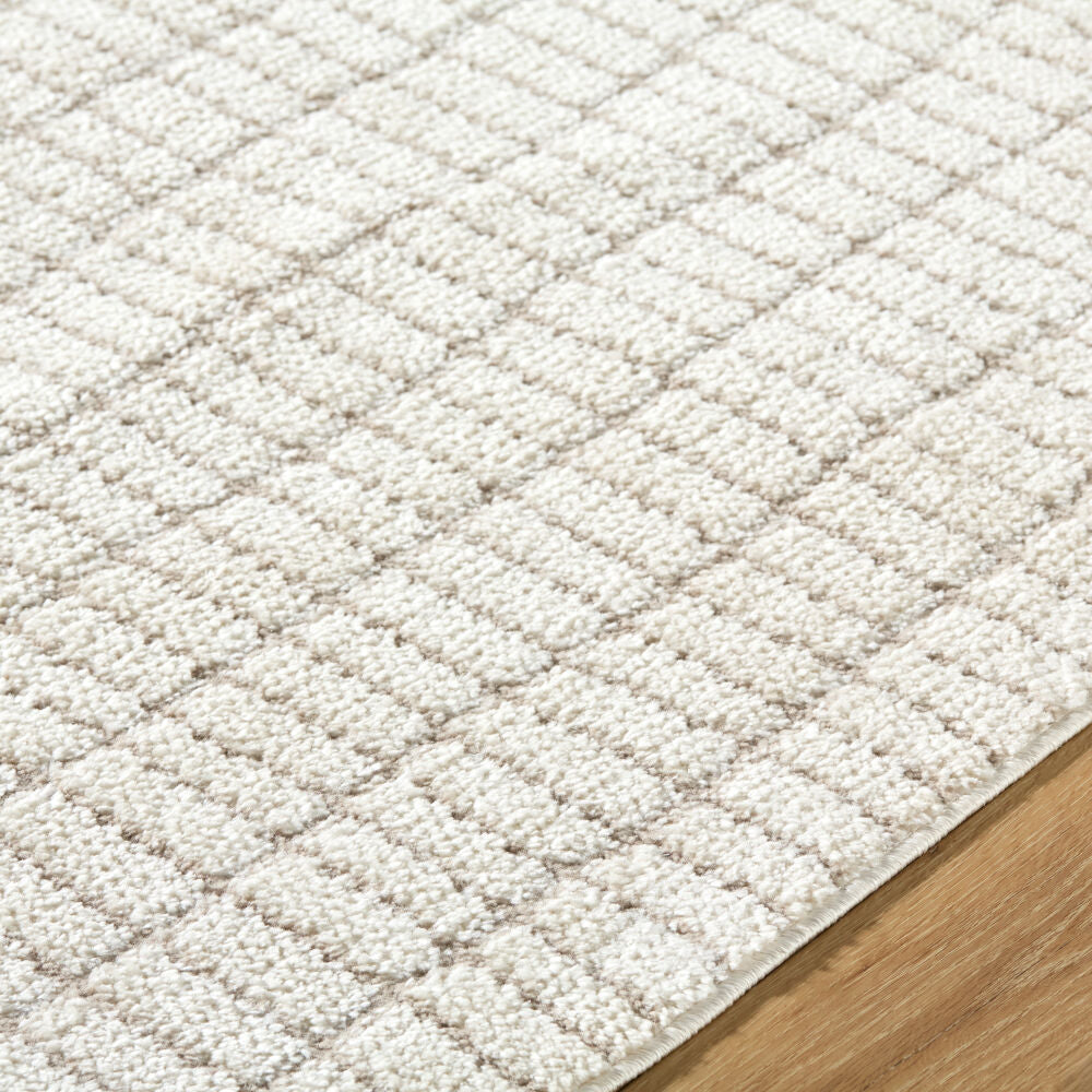 Cascade Ivory/Taupe Machine Woven Rug PNWCS-2307 - texture