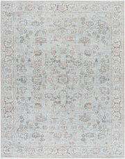 Olympic Brown/Tan Machine Woven Rug - 2'7" x 10'
