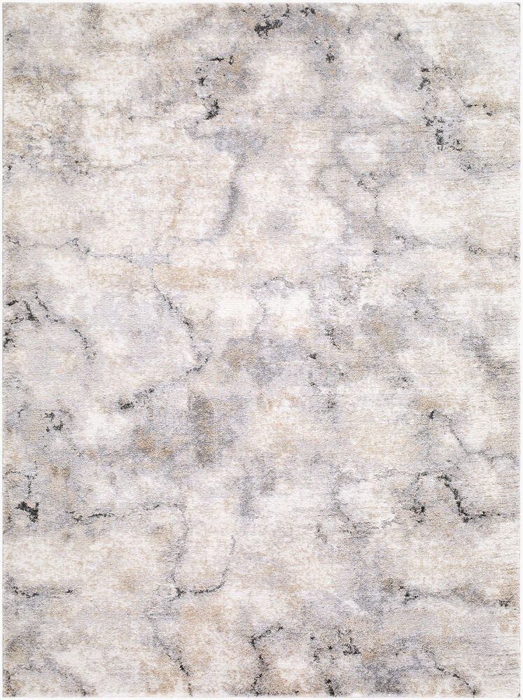Portofino Black/Taupe Machine Woven Rug PTF-2328 - 5'3" x 7'