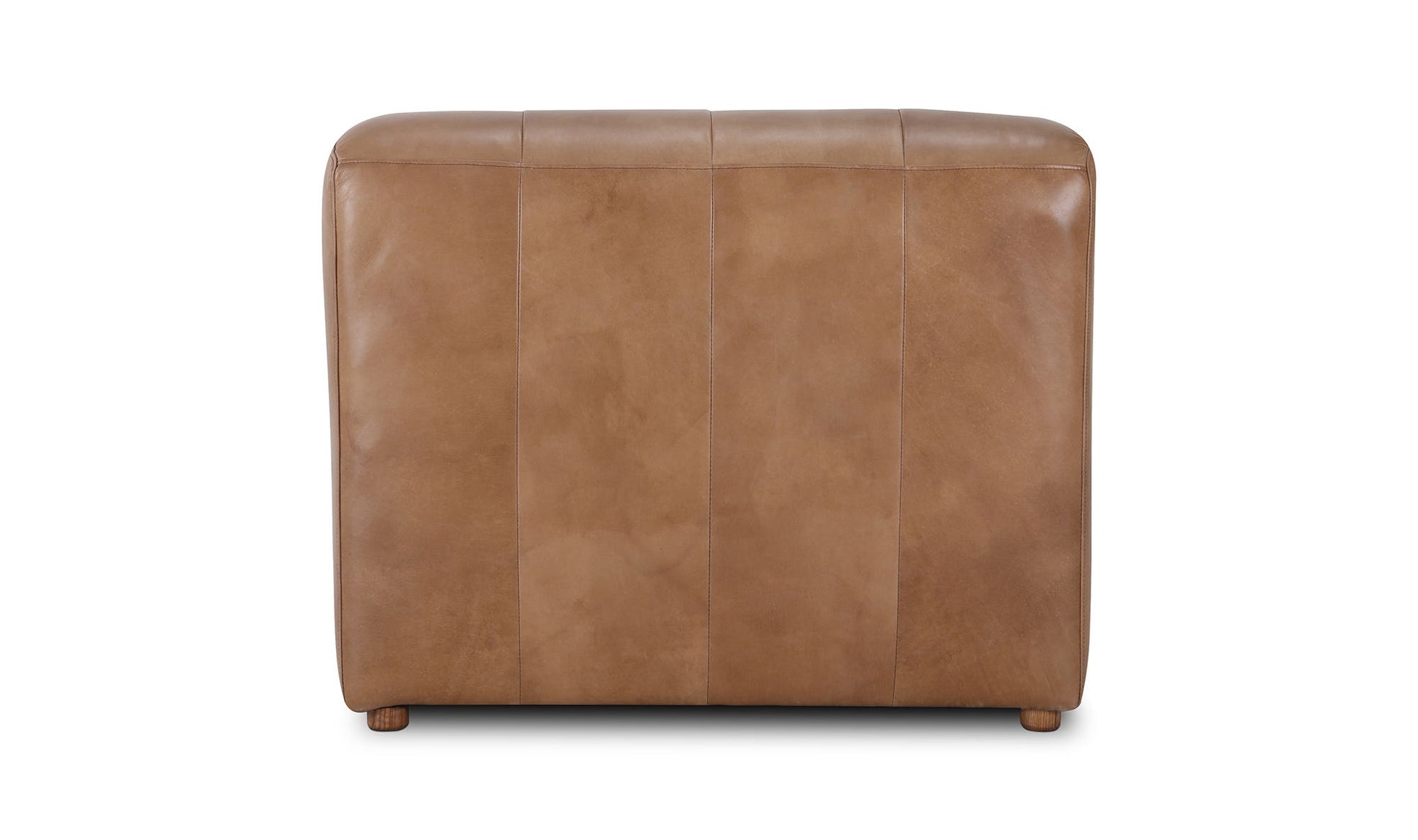 Ramsay Leather Slipper Chair Tan by Moe's Home Collection - view 16