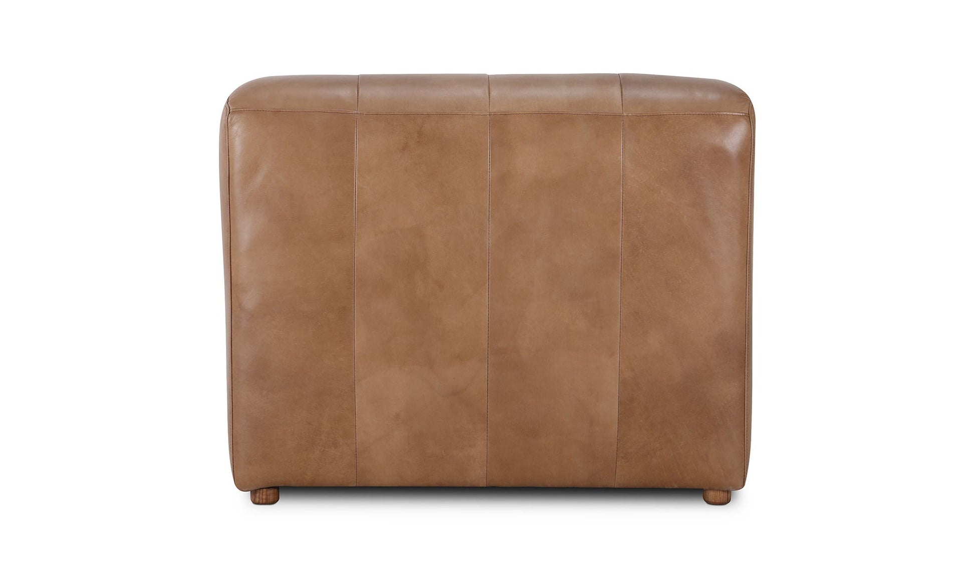 Ramsay Leather Chaise Tan by Moe's Home Collection - view 13