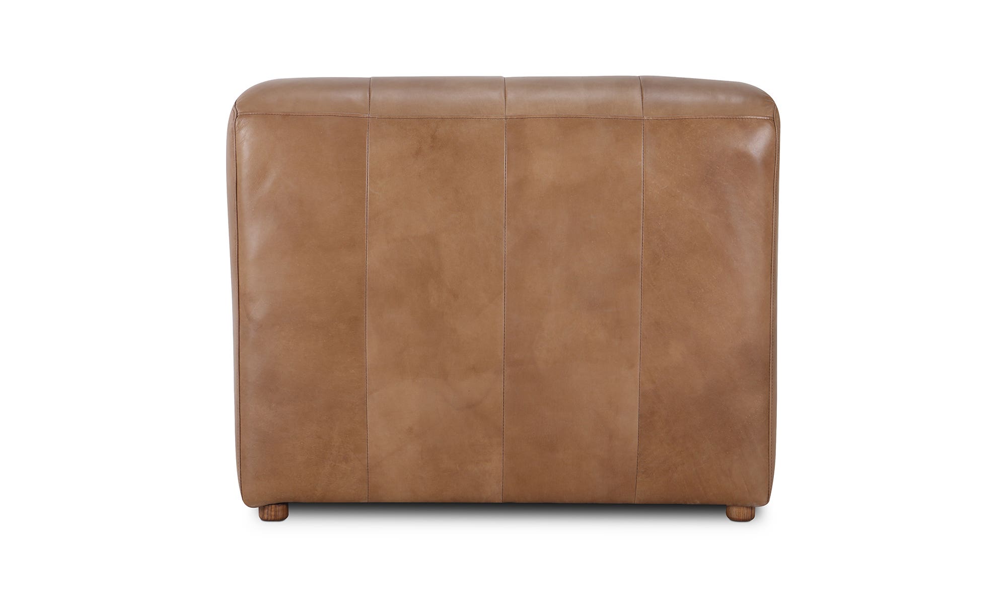Ramsay Leather Chaise Tan by Moe's Home Collection - view 13