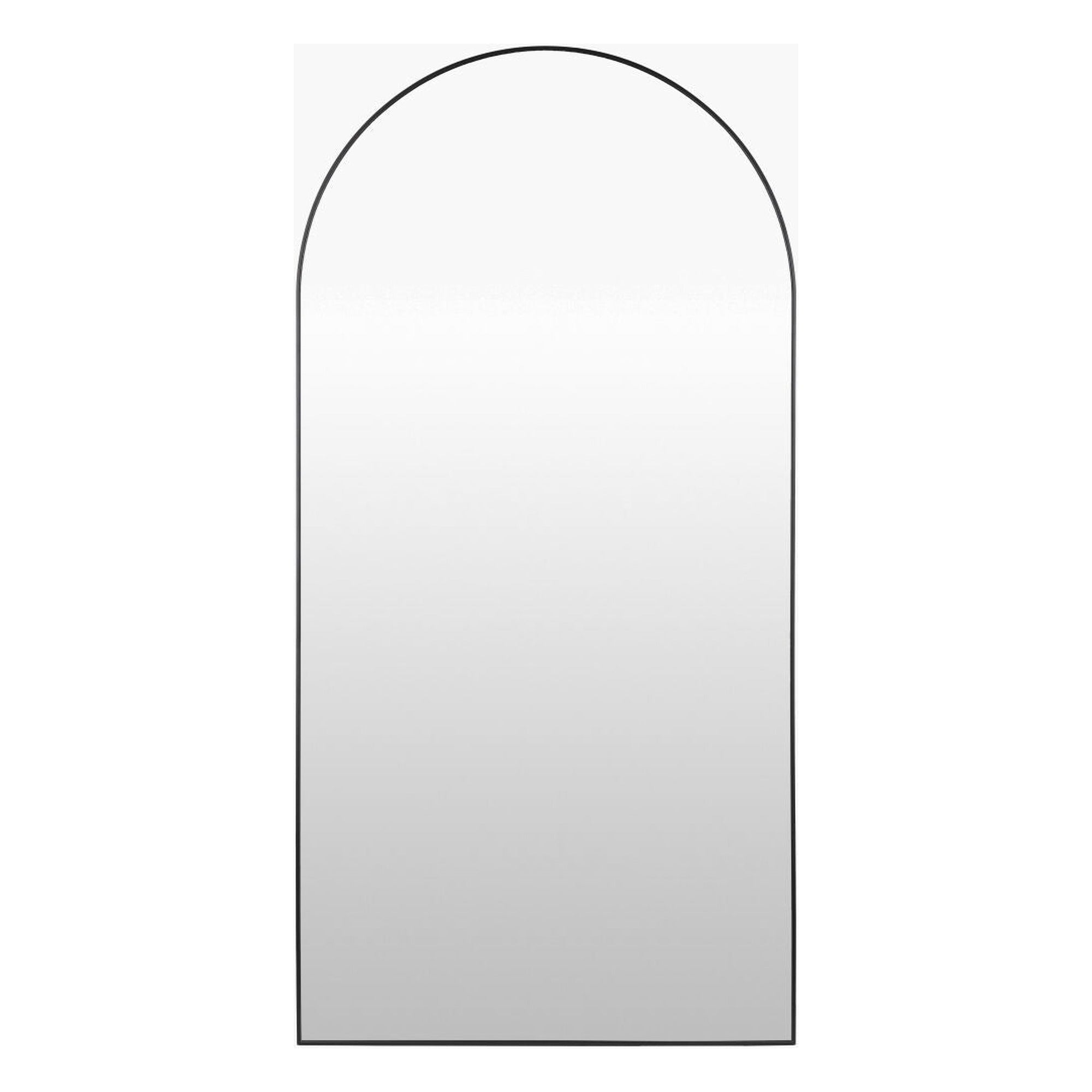 Aranya Accent Mirror RAY-012 - 65"H x 22"W x 1"D