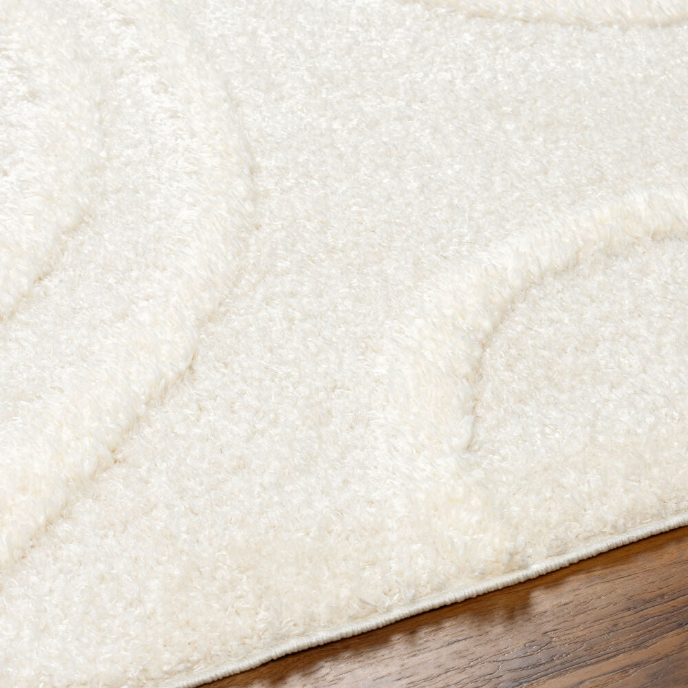 Rodos Beige/White Machine Woven Rug RDO-2341 - texture