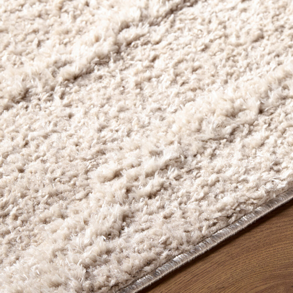 Rodos Beige/Ivory Machine Woven Rug RDO-2354 - texture