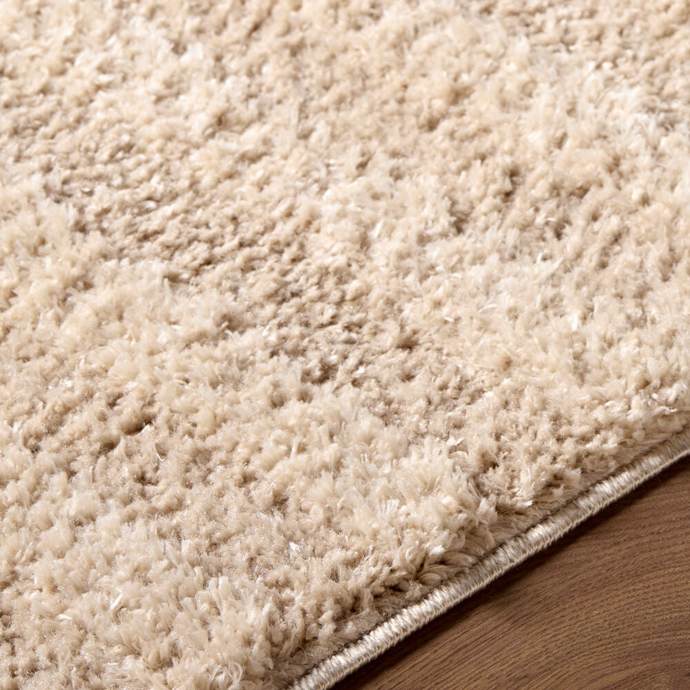 Rodos Beige/Ivory Machine Woven Rug RDO-2358 - texture