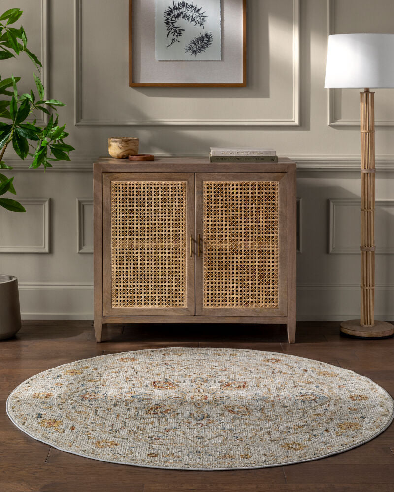 Reina Cream/Rust Machine Woven Rug REN-2303 - roomscene