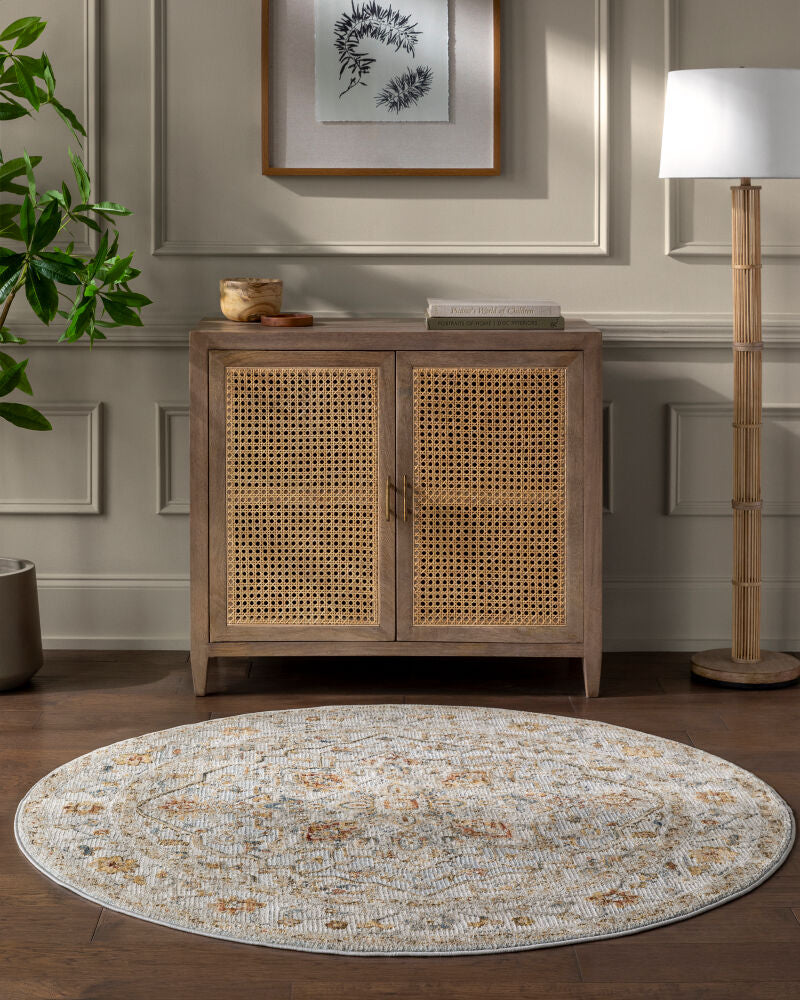 Reina Cream/Rust Machine Woven Rug REN-2304 - roomscene