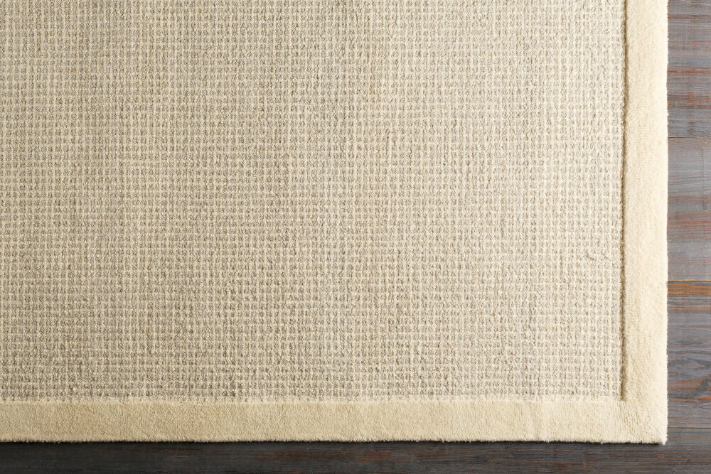 Siena Cream/Light Gray Handmade Rug SNA-2305 - overhead