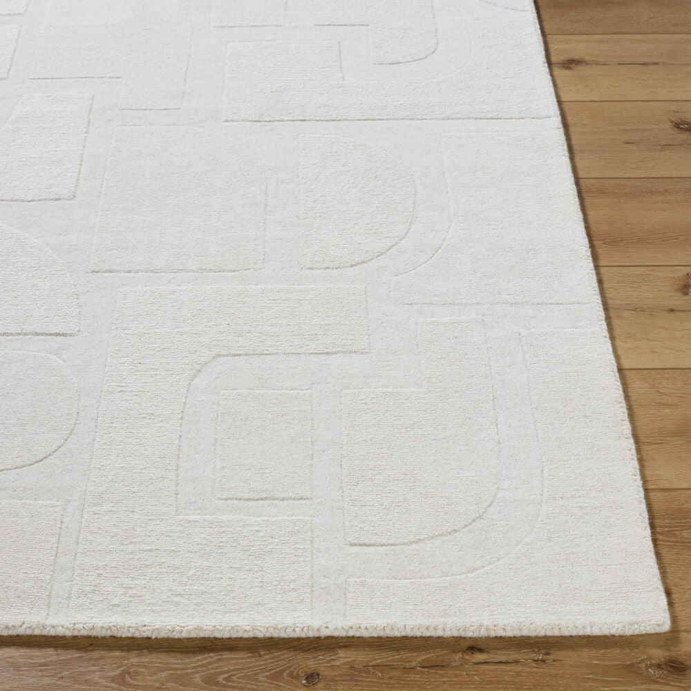 Taraash Handmade Rug TRH-2306 - front