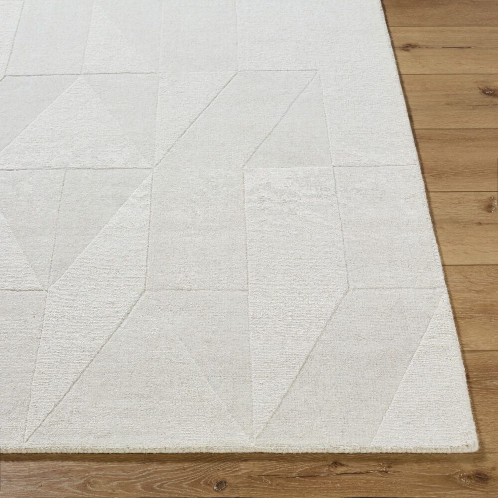 Taraash Handmade Rug TRH-2307 - front