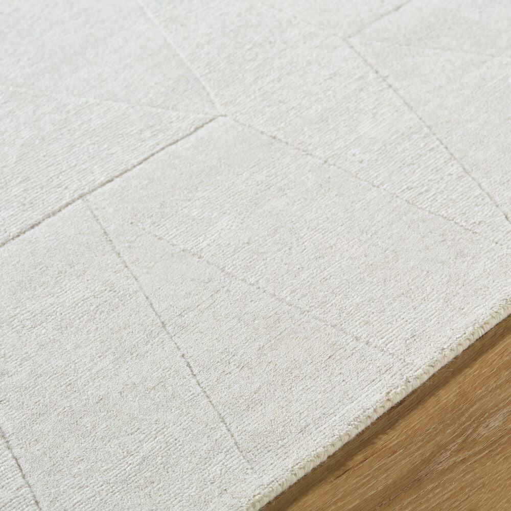 Taraash Handmade Rug TRH-2307 - texture
