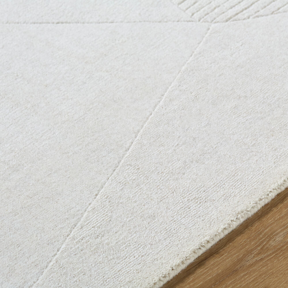 Taraash Handmade Rug TRH-2308 - texture
