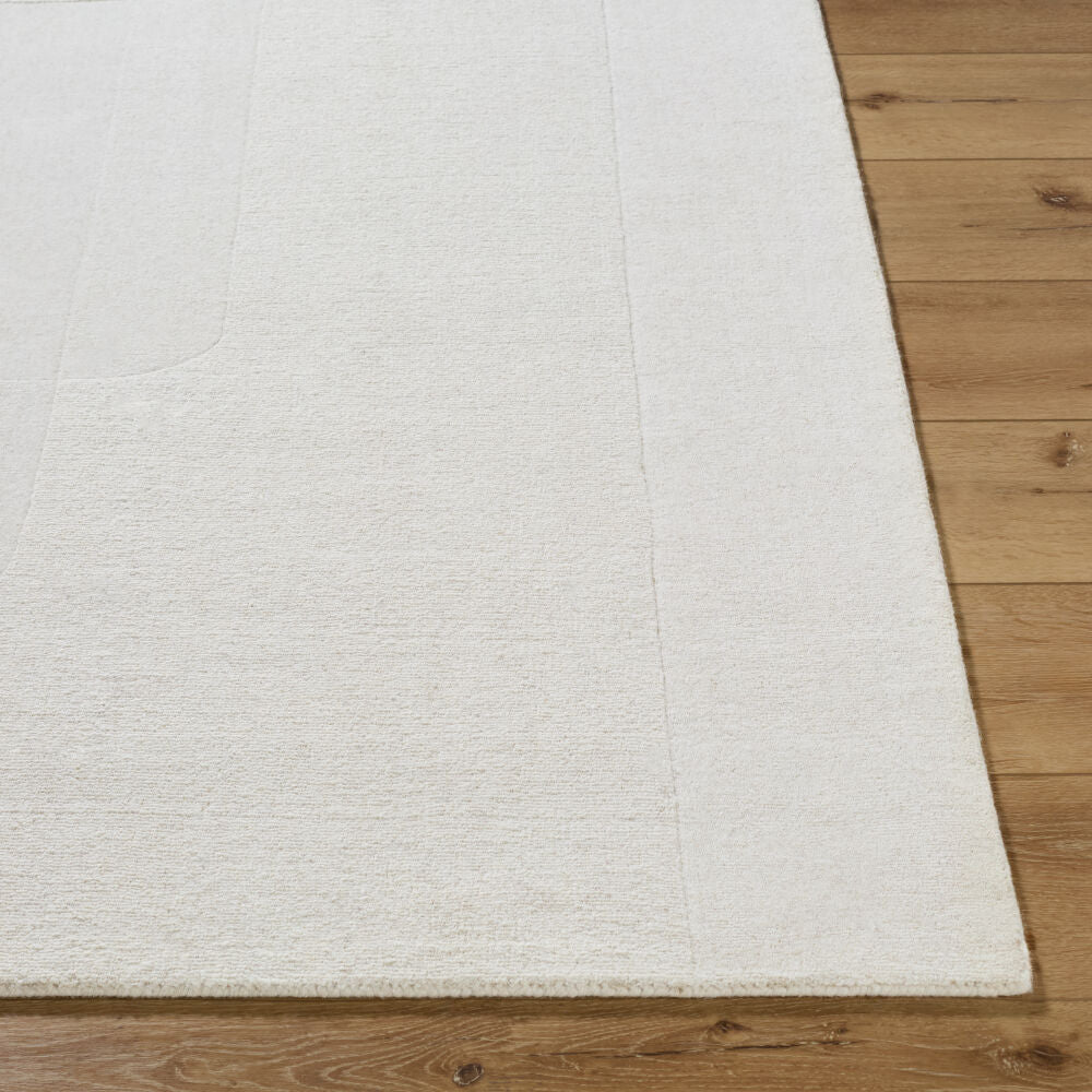 Taraash Handmade Rug TRH-2309 - front