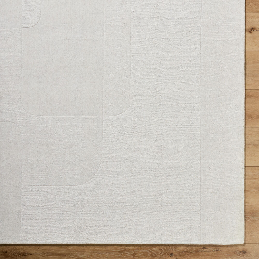 Taraash Handmade Rug TRH-2309 - overhead